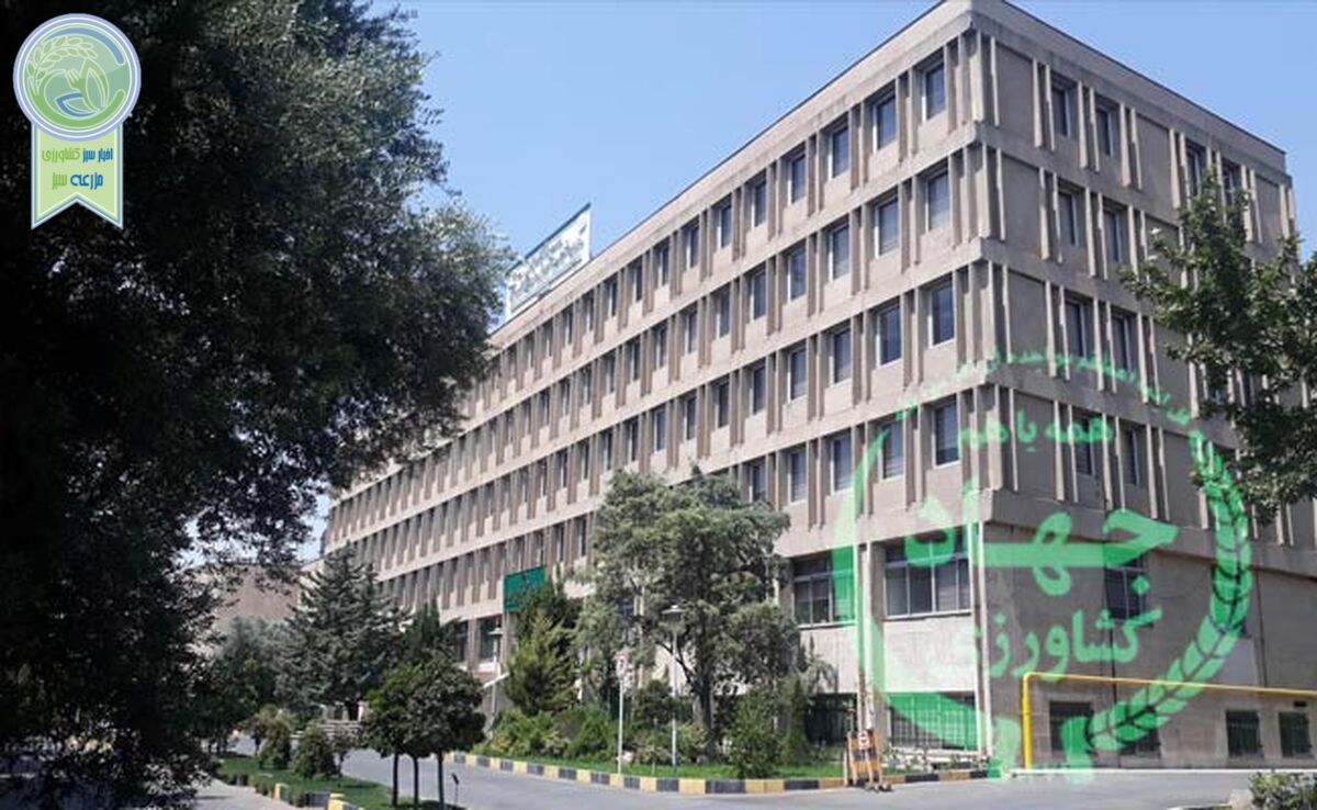 خیام نکویی عزل شد+ نامه



