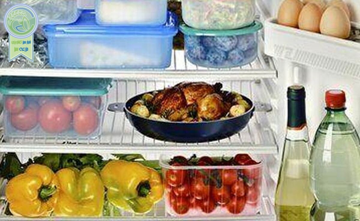 6 غذای پرمصرفی که به هیچ وجه نباید دوباره گرم کرد+ویدئو

