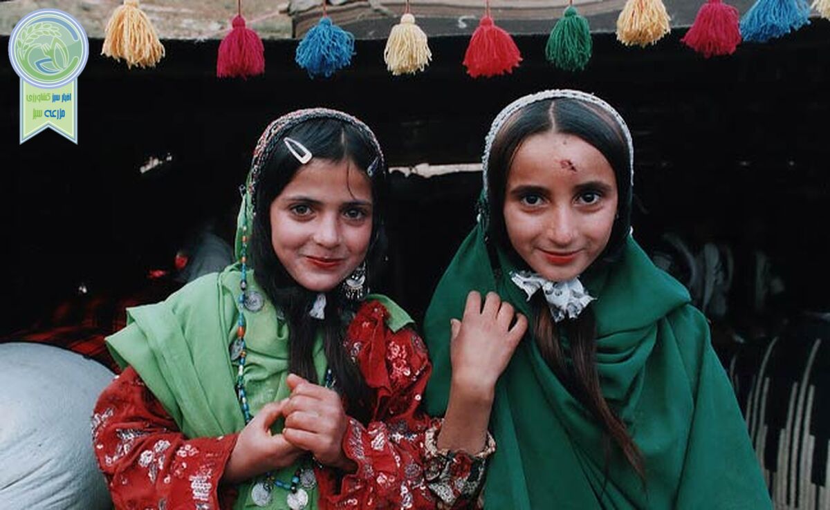 ترک تحصیل ۵۰ درصد دختران عشایر پس از دوره ابتدایی

